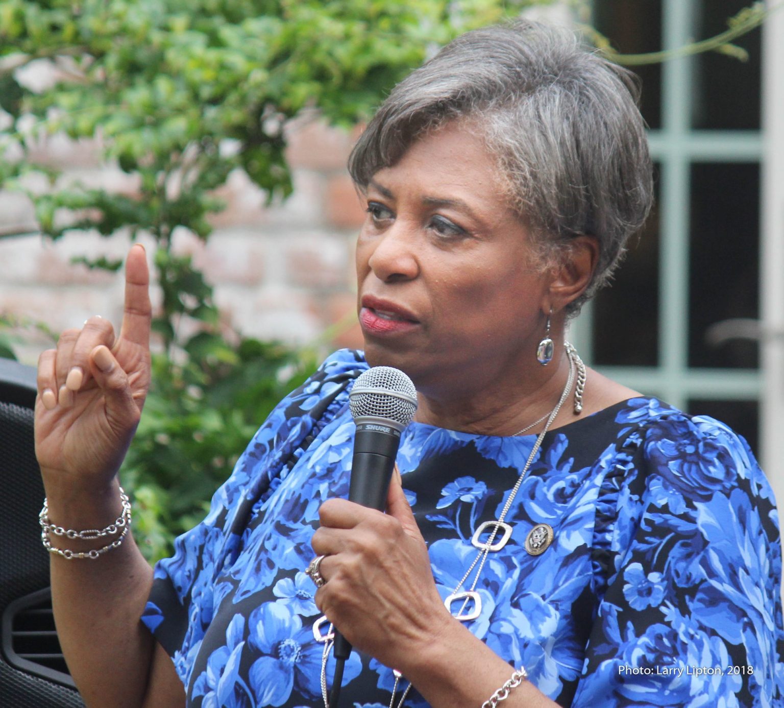 67721908_2448696915191901_2282617612783321088_o Congresswoman Brenda